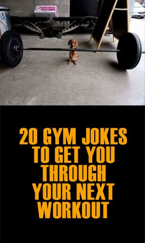 If none of your gym routines have given you the washboard abs you desire, try this collection of funny gym posters instead. We hear they are great for giving your abs a great workout. Workouts Quotes Funny, Workout Memes Funny Hilarious, Exercise Memes Funny Motivation, Funny Workout Memes Humor, Gym Jokes Humor, Funny Exercise Quotes Humor, Workout Humor Hilarious, Funny Gym Quotes Hilarious Fitness Humor, Funny Exercise Quotes