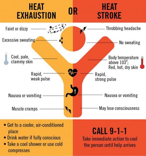 Emergency Medical Responder, Wilderness First Aid, Throbbing Headache, Heat Exhaustion, First Aid Tips, Emergency First Aid, Safety And First Aid, Apocalypse Survival, Excessive Sweating