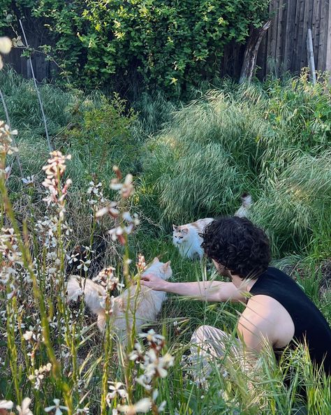 Nature Boyfriend Aesthetic, Gentle Giant Aesthetic, Gentle Life Aesthetic, Cottagecore Boyfriend, Curly Boyfriend, Curly Hair Boyfriend, Cottagecore Couple, Cottagecore Romance, Summer Boyfriend