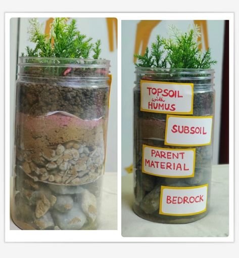 Soil Erosion Project, School Science Project Ideas, Human Body Science Projects, Science Exhibition Ideas, Earth Science Projects, Earth Science Lessons, Human Body Science, Science Models, Biology Projects