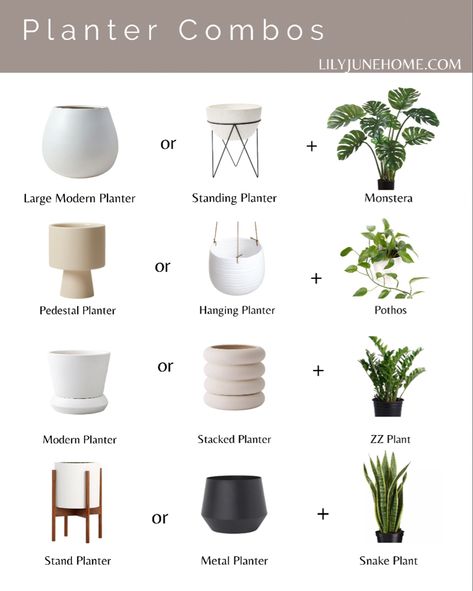 Plant Pot Size Chart, Indoor Plant Pot Ideas Living Rooms, House Plants Pots, Cottage Style Planters, House Planters Indoor, Plant Pot Size Guide, Indoor Plant Pot Ideas Diy Planters, Monstera Pot Ideas, Indoor Planters Pots Living Rooms