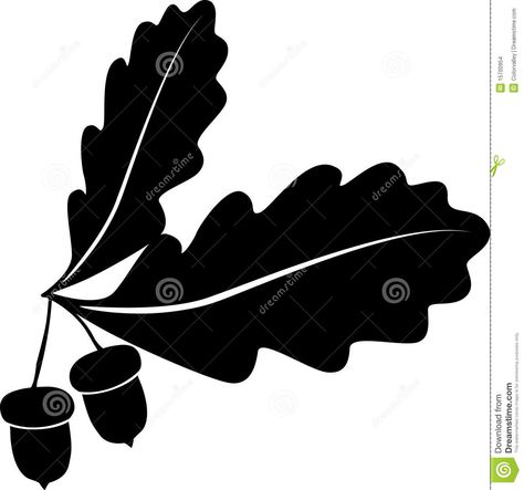 Oak Tree Tattoo Stock Illustrations, Vectors, & Clipart – (86 ... Leaf Clipart Black And White, Black And White Clipart, Oak Tree Tattoo, Animated Clipart, Tree Outline, Hand Carved Walking Sticks, Acorn And Oak, Clip Art Library, Mighty Oaks