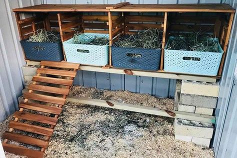 Reban Ayam, Easy Diy Chicken Coop, Kmart Hack, Cute Chicken Coops, Backyard Chicken Coop Plans, Chicken Nesting Boxes, Diy Chicken Coop Plans, Backyard Chicken Farming, Best Chicken Coop