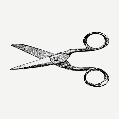 Scissors Clipart, Scissors Drawing, Scissors Vintage, Vintage Scissors, Illustration Collage, Vintage Black And White, Vintage Tools, Free Psd, Vintage Illustration