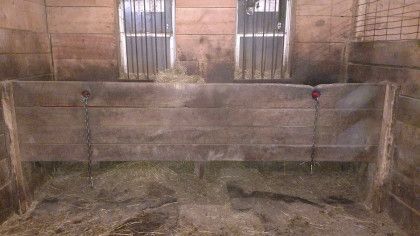 manger Horse Tie Stalls, Draft Horse, Draft Horses, Horse Barns, The Floor, Ask Me, The One, Horses