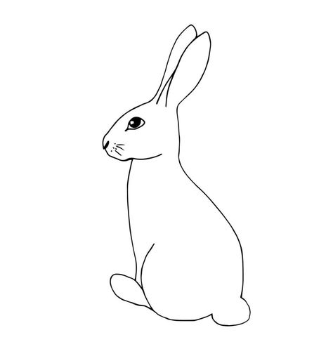 Hand drawn black line vector drawing. Cartoon hare, easter bunny isolated on white background. For the design of children's coloring, stickers, labels. Wildlife, forest animals Hare Drawing, Line Vector, Drawing Cartoon, Black Line, Vector Drawing, Coloring Stickers, Forest Animals, Easter Bunny, Easy Drawings