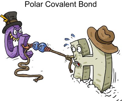 Covalent And Ionic Bonds, Notes Pictures, Science Cartoons, Ionic Bonding, Ap Chemistry, Chemistry Classroom, Chemistry Education, Chemistry Humor, Covalent Bonding