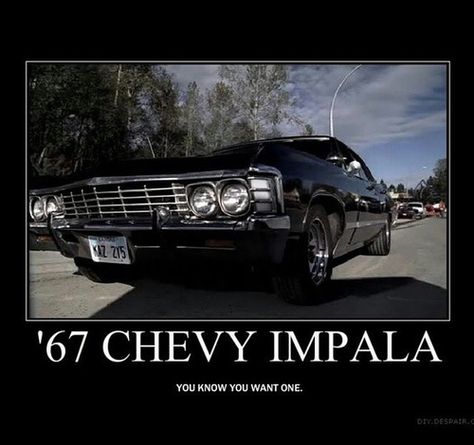 Dean Winchester Car, Film Memes, Impala 1967, Supernatural Impala, 67 Impala, 1967 Chevy Impala, Supernatural Baby, Bad Drivers, Supernatural Wallpaper