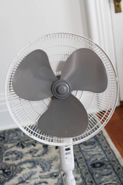 How To Clean a Fan | Apartment Therapy How To Clean Fans, Cleaning Fabric, Indoor Fans, Standing Fans, Floor Fans, Portable Fans, Pedestal Fan, Homemade Cleaning Solutions, Diy Plumbing