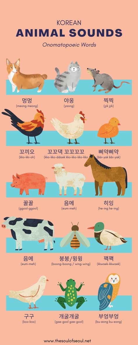 Beautiful Korean Words, Animals In Korean, Korean Worksheets, Asian Languages, Korean Vocab, Korean Learn, Learning Korean Grammar, Learn Korean Alphabet, Korean Writing