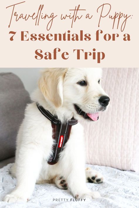 Travelling with a Puppy: 7 Essentials for a Safe Trip. Find puppy travel tips & more at prettyfluffy.com. Traveling With Puppy Road Trips, Puppy Travel Bag Packing Lists, Puppy Travel Essentials, Dog Car Essentials, Puppy Essentials Products, Puppy Travel Bag, Berry Ideas, Puppy Essentials, Puppy Bag