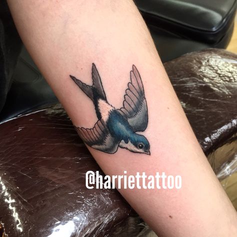 Bird tattoo house Martin swallow Martin Bird Tattoo, House Martin Tattoo, Tree Swallow Tattoo, Swallows And Flowers Tattoo, Swallow Bird Hand Tattoo, Wagtail Tattoo, Two Swallows Tattoo Traditional, Barn Swallow Tattoo, Martin Bird