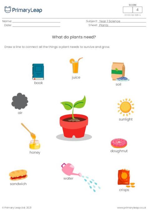 Science: Cloze activity Plants | Worksheet | PrimaryLeap.co.uk Parts Of A Plant Worksheet Kindergarten, Worksheet On Plants For Kindergarten, Part Of Plant Worksheet, Living Things And Non Living Things, Plant Needs Worksheet, Types Of Plants Worksheets For Grade 1, Year 1 Science, Needs Of Plants Kindergarten, What Plants Need To Grow