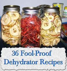 Dehydrator Recipes Fruit, Dehydrating Food Storage, Food Dehydration, Dehydrated Vegetables, Canning Food Preservation, Canned Food Storage, Dehydrated Fruit, Dehydrated Food, Survival Food