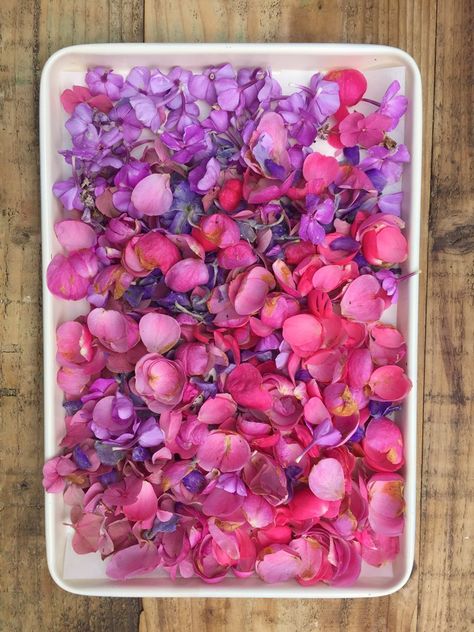 Dry Flower Petals, Flower Petals For Wedding, Flower Confetti Wedding, Making Confetti, Dried Petal Confetti, Confetti Diy, Flower Drying, Dried Flower Confetti, Rose Petal Confetti