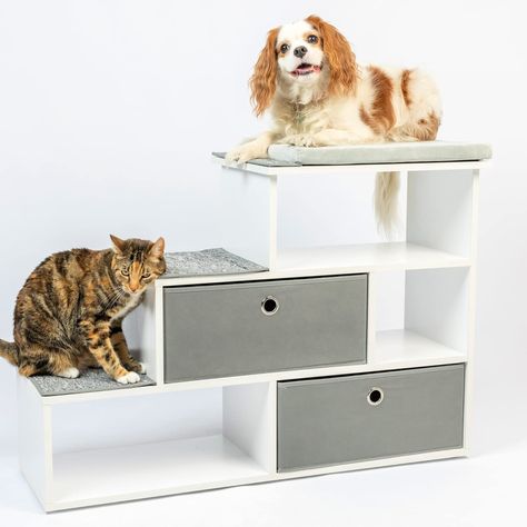 Stairs Height, Bookshelf With Storage, Modern Pet Furniture, Tall Dog, Hybrid Cat, Window Perch, Tallest Dog, White Bookshelves, Dog Stairs