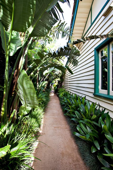 Casa Hobbit, Side Yard Landscaping, Tropical Garden Design, Tropical Gardens, Garden Wallpaper, Side Garden, Low Maintenance Garden, Small Yard, Side Yard