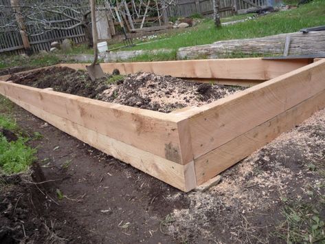 How to Build a Raised Garden Bed on Sloping, Uneven Ground Build Raised Garden Bed, Bed Options, Building Raised Garden Beds, Sloped Yard, Vegetable Garden Raised Beds, Building A Raised Garden, Diy Raised Garden, Raised Garden Beds Diy, Sloped Garden