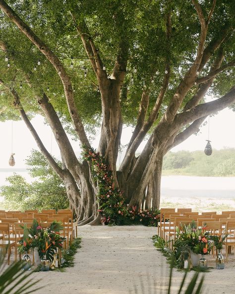 That’s a Tropical Vibe! Kinsley & Matt . . Photography @rawshoots Venue @pangasbeachclubcr Event Planning & Design@heidy.eventsdesign Florist @flores_de_campos . . #destinationwedding #weddingday #weddingplanning #weddingphotography #gettingmarried #beachfrontwedding #weddingvenue #weddingvibes #gettingreadyforwedding #realweddings #destinationwedding #gardenwedding #weddinggoals #costaricaweddingplanners #sunsetlovers #beachweddinginspiration #costarica🇨🇷 Costa Rica Wedding, Beach Wedding Inspiration, Event Planning Design, Wedding Goals, Tropical Vibes, Garden Wedding, Event Planning, Getting Married, Real Weddings