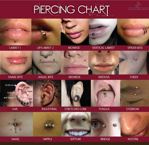 Tongue Piercings Chart, Face Piercings Chart, Piercings Chart, Spiderbite Piercings, Tongue Piercing Jewelry, Tongue Piercings, Mouth Piercings, Ear Peircings, Double Tongue Piercing