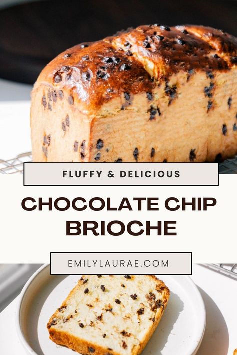 Chocolate Chip Brioche Bread Recipe, Chocolate Chip Yeast Bread, Chocolate Chip Rolls, Easy Chocolate Chip Bread, Chocolate Chip Bread Machine Recipes, Chocolate Chip Brioche Bread, Brioche Bread Machine, Chocolate Chip Brioche, Easy Bread Machine Recipes