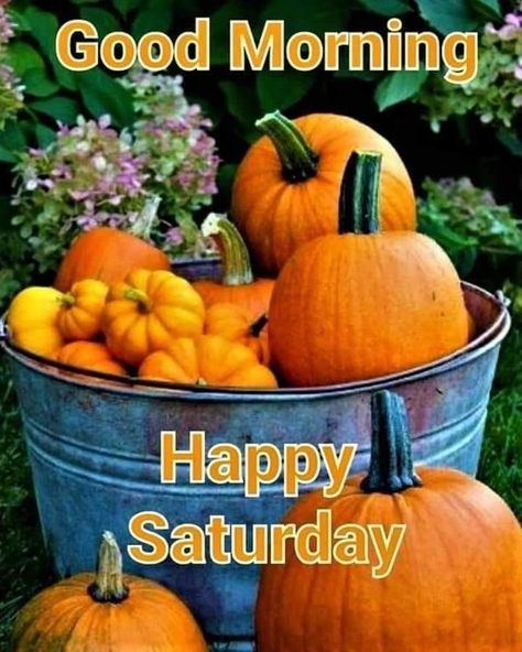 Good Morning Fall Images, Good Morning Fall, Good Morning Happy Weekend, Fall Greetings, Saturday Morning Quotes, Happy Saturday Quotes, Happy Saturday Images, Weekly Quotes, Saturday Greetings