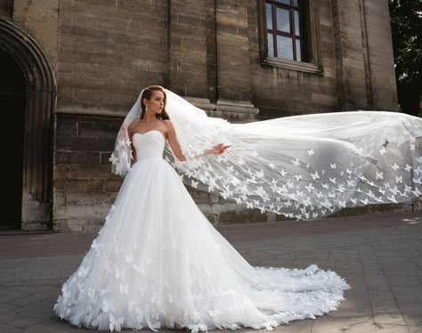 Dominiss 2017 Collection features exquisite wedding dresses in a plethora of gorgeous silhouettes, from beautiful ball gowns to mermaid-styles Long Veils Bridal, Butterfly Wedding Dress, Flowers Wedding Dress, Armenia Yerevan, Wedding Dress Ball Gown, Simple Bridal Gowns, A Line Bridal Gowns, Dress Ball Gown, Gown Bridal