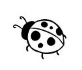 Ladybird Drawing Simple, Ladybug Drawing Black And White, Minimalist Ladybug Tattoo Simple, Simple Ladybug Tattoo Outline, Simple Ladybug Drawing, Mini Ladybug Tattoo, Ladybug Outline Tattoo, Ladybug Tattoo Stencil, Ladybug Tattoo Simple