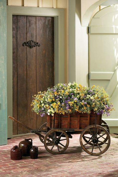 So beautiful!  #flower #Arrangements Wheelbarrow Flowers, Goat Cart, Paintings Bedroom, Self Watering Containers, Flower Cart, Self Watering Planter, Garden Containers, Beautiful Flower Arrangements, Month Flowers