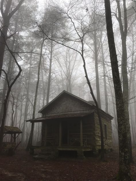 Cabin In The Woods Creepy, Haunted House In The Woods, Spooky Cabin In The Woods, Abandoned Shack In The Woods, Scary Cabin In The Woods, Creepy Lake House, Haunted Cabin In The Woods, Creepy Cabin Aesthetic, Abandoned House In Forest