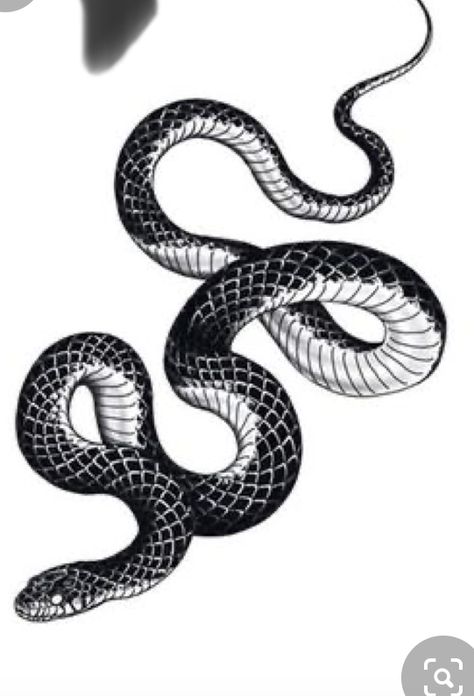 Ronin Tattoo, Black Snake Tattoo, Sketches Tattoo, Cobra Tattoo, Serpent Tattoo, Snake Tattoo Design, Leg Tattoo Men, Tattoo Project, Line Work Tattoo