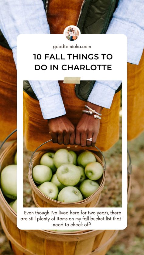 Even though I’ve lived here for two years, there are still plenty of items on my fall bucket list that I need to check off! And I’m sure there are plenty of activities listed you’ll want to check out too! Here are 10 things I’m looking forward to experiencing this fall in Charlotte, North Carolina. #fallbucketlist #fallinspo #fallactivities #applepicking #vineyard #pumpkinpatch #cornmaze #weekendgetaway Charlotte Fashion, Jamaica Outfits, Fall Carnival, Bank Of America Stadium, Mother Daughter Trip, Fall Things, Fall Bucket List, Blue Ridge Parkway, Charlotte North Carolina