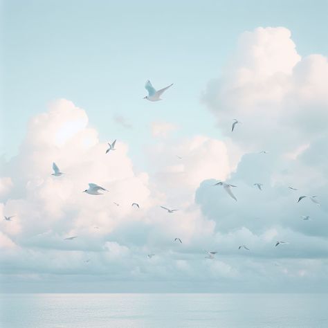 Seagulls flying in distance with cloudy sky over the sea square 1989 icon Widget Beach Aesthetic, 1989 Widgets, Taylor Swift Widget, 1989 Aesthetic, 1989 Taylors Version, Funny Cartoon Images, Aesthetic Widget, Light Blue Aesthetic, Taylors Version