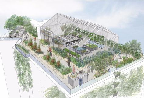 Rooftop Garden Urban, Eco Farm, Aquaponics Greenhouse, Smart Farm, Student Portfolio, Green Facade, Vertical Farming, Roof Architecture, Architecture Model Making