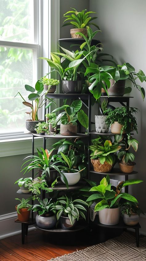 Dark Corner Decorating Ideas, Plant Set Up Indoor, Plant Corner Living Room, Indoor Plant Corner, Small Plant Shelf, Plant Display Indoor, Plant Organization, Shelf Design Ideas, Corner Plant Stand