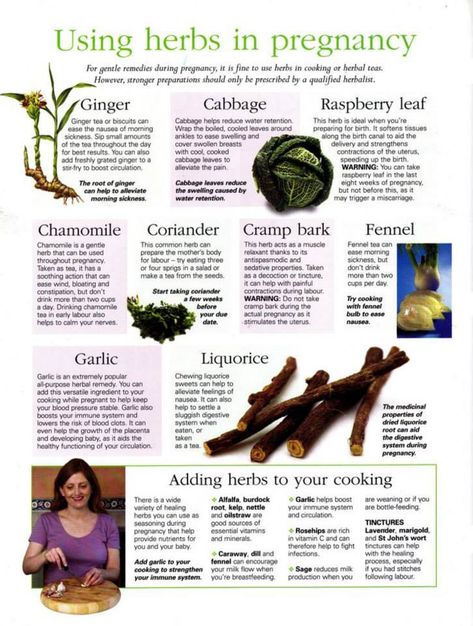 Herbs For Fertility Witchcraft, Herbs For Pregnant Women, Herbal Contraceptive, Herbal Journal, Pregnancy Herbs, Herbs For Women, Holistic Pregnancy, Pregnancy Nutrition, Natural Pregnancy