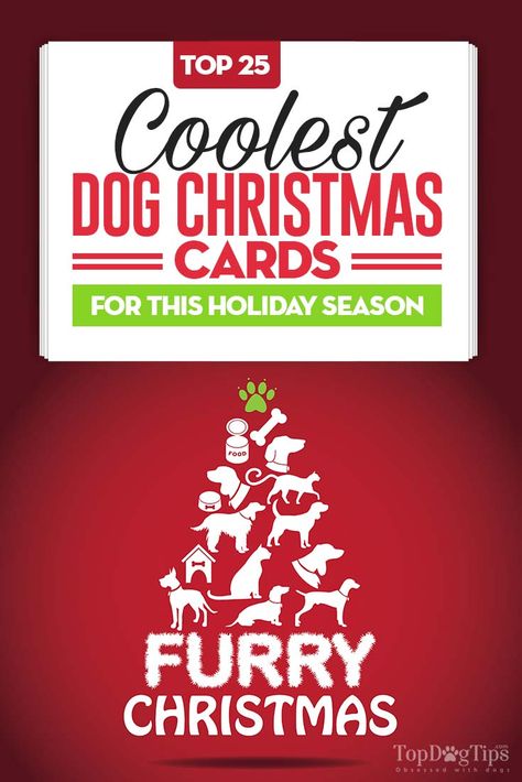 25 Cool and Unique Dog Christmas Cards for Pet Owners Dog Christmas Cards, Christmas Family Feud, Christmas Card Writing, Christmas Greetings Messages, Animals Jokes, Card Writing, Pet Christmas Cards, Christmas Card Sayings, Merry Christmas Dog