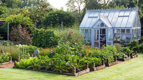 Building Raised Beds, Vegetable Harvest, Vegetable Beds Raised, Building Raised Garden Beds, Home Grown Vegetables, Raised Planter, Concrete Planters, Planting Herbs, Growing Flowers