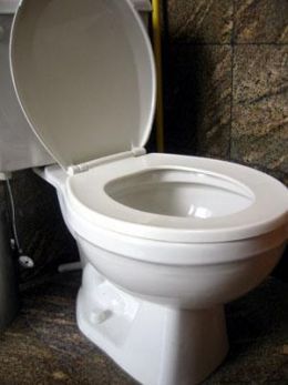 Make sure you know the trick to unclogging your toilet!  This worked fast after plunging for a half an hour wouldn't budge the clog!  Yay! Toilet Drain, Clogged Toilet, Household Help, Diy Cleaning Solution, Diy Plumbing, Cleaning Recipes, Making Life Easier, Cleaners Homemade, Liquid Detergent