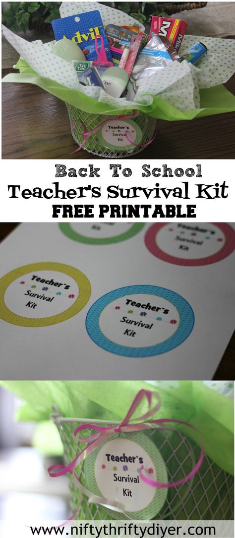 teacher survival kit gift Teacher First Aid Kit Gift, Teacher Survival Kit Gift, Survival Gifts, Teacher Survival Kit, Survival Kit Gifts, Survival Kit For Teachers, Teacher Survival, Lion Cubs, School Kit