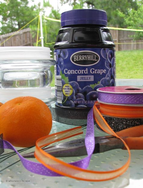 Diy Oriole Jelly Feeder, Houses Design Ideas, Oriole Bird Feeders, Candle Lids, Bird Ideas, Diy Jelly, Squirrel Feeders, Oriole Bird, Baltimore Oriole