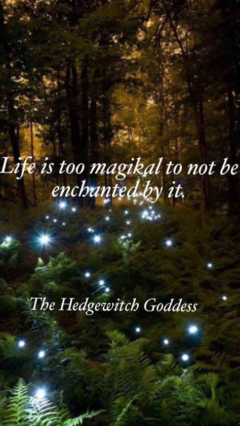 Life is too magikal not to be enchanted by it... The Hedgewitch Goddess Enchanted Quotes, Wood Witch, Magical Quotes, Witch Quotes, Magic Quotes, Hedge Witch, Magical Life, Practical Magic, Spiritual Path