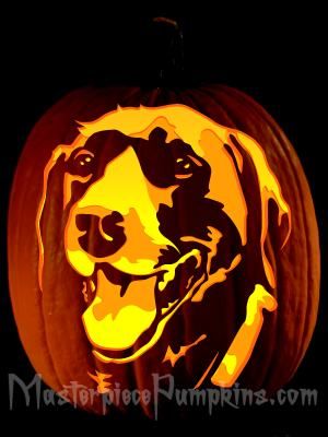 Masterpiece Pumpkins Carving Patterns-Labrador Retriever  $3.95 per pattern Pumpkin Carving Dog Template, Dog Carving Pumpkin, Tiger Pumpkin Carving, Pumpkin Carving Dog, Dog Pumpkin Carving Ideas, Dog Pumpkin Carving, Pumpkins Carving, Pumpkin Sculpting, Theater Props