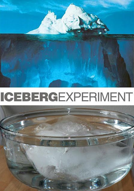 Iceberg Experiment (glacier and iceberg flooding experiment under it too!) Titanic Iceberg, Antarctica Activities, Pole Nord, Simple Science, Polar Animals, Science Activities For Kids, Easy Science, Preschool Science, Science Ideas