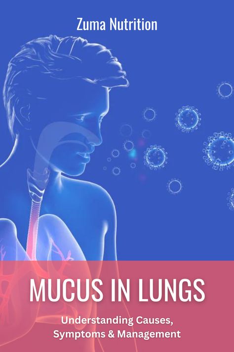 Recognizing the signs and symptoms of excessive mucus in the lungs is crucial for prompt intervention and management. These are the most common indicators of excess mucus in the lungs. Get Rid Of Mucus, Getting Rid Of Mucus, Be Uncomfortable, Respiratory Health, Respiratory System, Signs And Symptoms, Lungs, Respiratory, The Signs