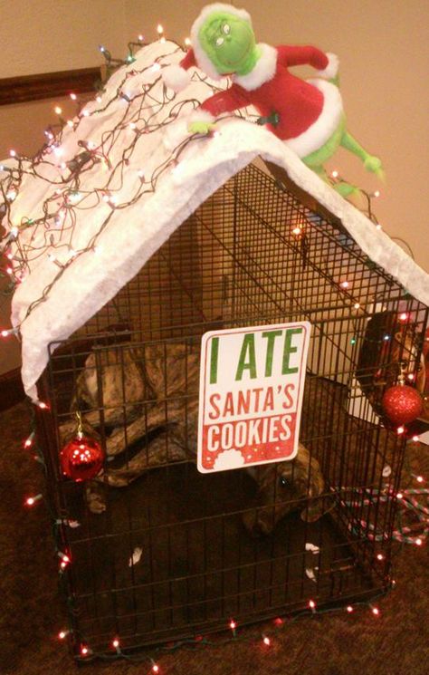 Dog Crate Christmas Decor, Pet Shaming, Western Things, Dog Bedroom, Pet Ornaments, Christmas Lodge, Plaid Christmas Decor, Dog Cage, Santa Dog