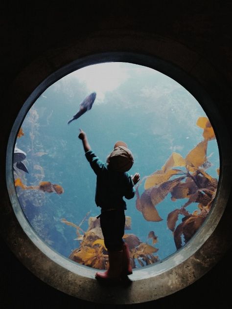 Monterey Bay Aquarium, Monterey Bay, Poses References, Cinematic Photography, 영감을 주는 캐릭터, Foto Inspiration, 인물 사진, The Fish, Pablo Picasso