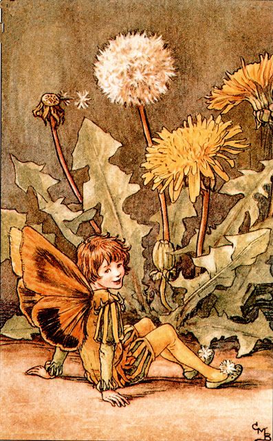 its okei!: Flower Fairies of Spring (Cicely Mary Barker) Dandelion Fairy, Short Poem, 동화 삽화, The Dandelion, Spring Fairy, Fairy Illustration, Marjolein Bastin, Fairy Pictures, Cicely Mary Barker