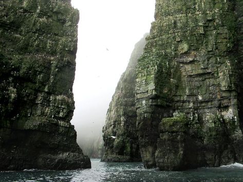 The south coast of Bear Island (Bjørnøya), Svalbard, Norway, can be mysteriously alluring in the fog. Svalbard Norway, Bear Island, Island Aesthetic, The Fog, Httyd, Winter Is Coming, The South, Norway, Water