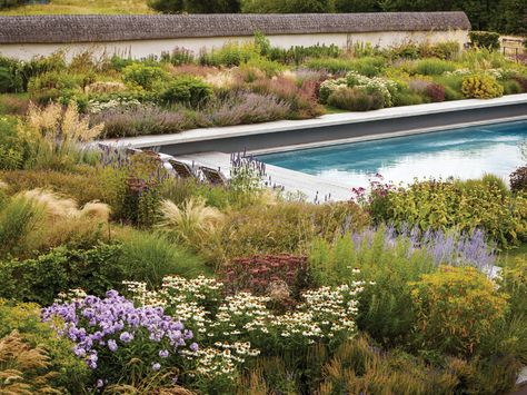 Grassy Garden, Therapy Garden, Tom Stuart Smith, Garden Museum, Garden Levels, Building A Pool, Natural Garden, Museum Exhibition, Private Garden